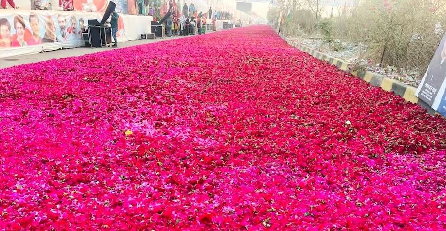 प्रियंका गान्धीको स्वागतमा २ किमी लामाे गुलाबकाे सडक